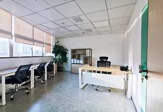 图们三色堇花购买电话