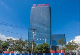 转录因子抑制剂