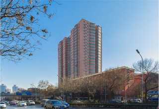 广东双头高频机